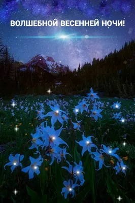 Сладкой ночи картинка природы (38 фото) » Красивые картинки, поздравления и  пожелания - 