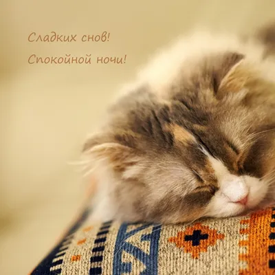 юмор#смешное#длянастроения##добрыйвечер#спокойнойночи#доброеутро#умныеслова#шутки#смешныевидео#мотивация#фото#деньрождения#поздравления  | Instagram