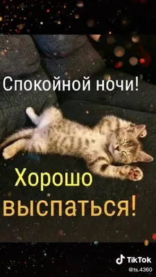 ДОБРЫЙ ВЕЧЕР И ДОБРОЙ НОЧИ... - Позитив Юмора и Природы | Facebook