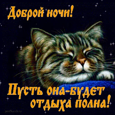 Картинка с двумя котами "Спокойной ночи, приятных снов!" • Аудио от Путина,  голосовые, музыкальные