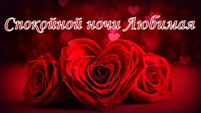 Спокойной ночи 🌙 Отличного настроения 💖💖💖 - YouTube