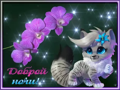 ☄️🌛Доброй ночи! Сладких снов!🌛☄️ 4К Лучшее анимационное пожелание -  YouTube