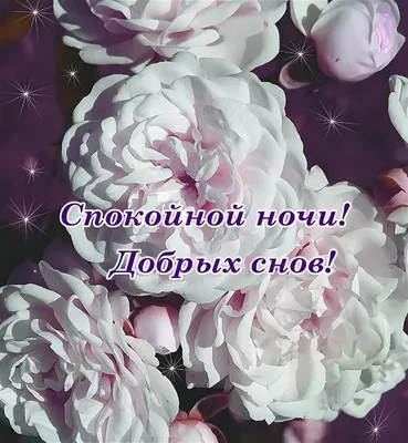 Картинки "Спокойной ночи!" (2829 шт.)