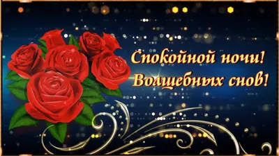 Спокойной ночи! Волшебных снов!.