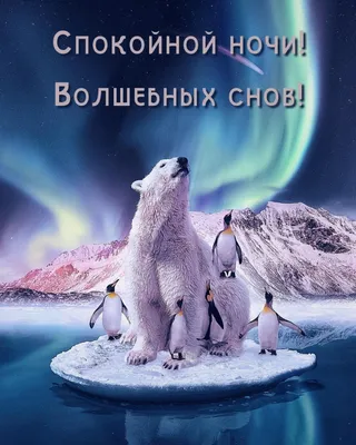 Спокойной ночи, волшебных снов!» — создано в Шедевруме