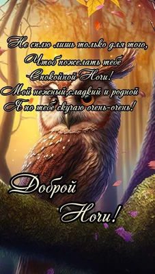 Картинки "Спокойной Ночи, Любимая!" (259 шт.)