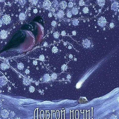 Зимние открытки "Спокойной ночи!" (264 шт.)