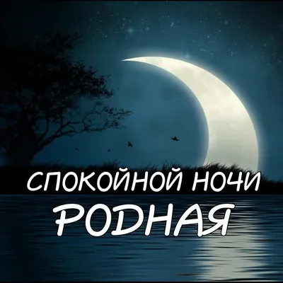 Ребят, я больше не могу это держать в себе. Я — за однодневную рабочую  неделю. / кот :: работа :: Мемы (Мемосы, мемасы, мемосики, мемесы) /  смешные картинки и другие приколы: комиксы,