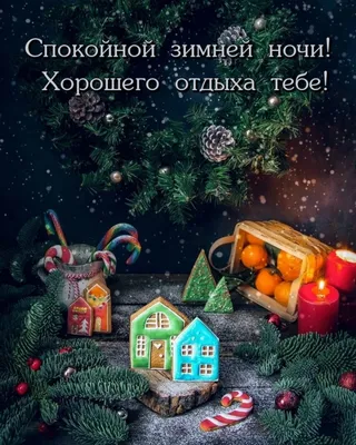 Картинка: Спокойной зимней ночи! Хорошего отдыха!