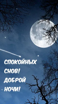 Спокойных снов!💞💞💞### | TikTok