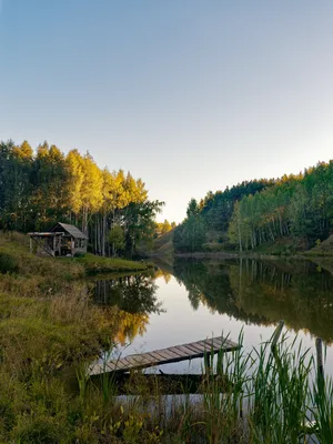 Картинка спокойствие, только спокойствие - Открытки для всех