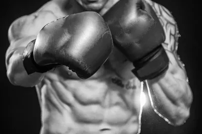 Boxing Sport Бокс - Бесплатное фото на Pixabay - Pixabay