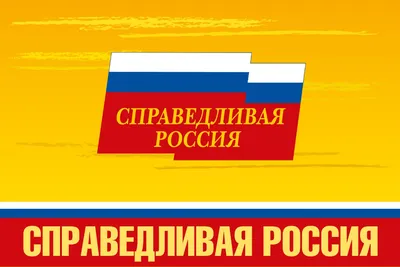 Справедливая Россия» сменила название после слияния с двумя партиями — РБК