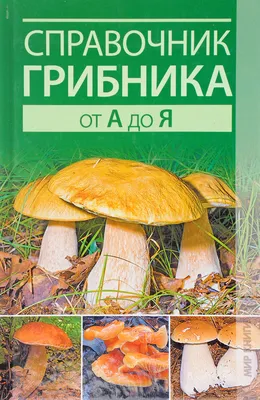 Справочник грибника от А до Я | Нет автора - купить с доставкой по выгодным  ценам в интернет-магазине OZON (1010902969)