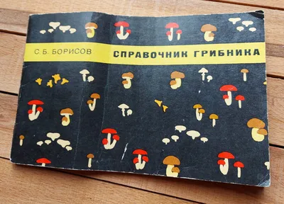 Справочник грибника — купить книги на русском языке в DomKnigi в Европе