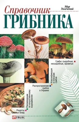 Рядовка: описание гриба, где растет, виды, съедобность, как отличить от  ядовитого