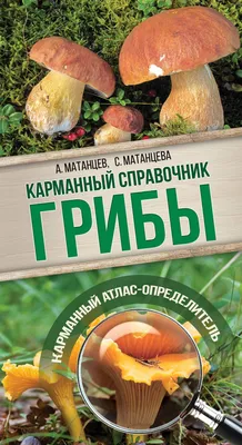 Компьютерная программа Грибы - «хороший грибной справочник» | отзывы