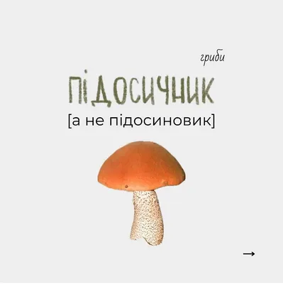 В лес на «грибалку»: москвичам рассказали, какие виды грибов можно  встретить осенью