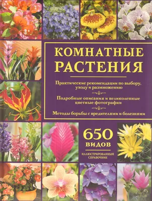 КОМНАТНЫЕ РАСТЕНИЯ .ИЛЛЮСТРИРОВАННЫЙ СПРАВОЧНИК. Купить в Гродно — Книги  . Лот 5036130575