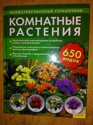 М. Цветкова. Самые популярные комнатные растения — Книжный интернет-магазин