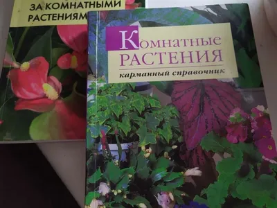 Самые популярные комнатные растения. Универсальный справочник, , купить  книгу 978-966-14-0183-8 – Лавка Бабуин, Киев, Украина