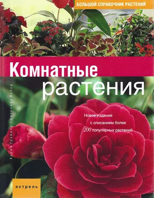 Большой справочник растений. Комнатные растения. Новое издание с описанием  более 200 популярных растений | Вебер Анжелика, Грайнер Карин - купить с  доставкой по выгодным ценам в интернет-магазине OZON (826514421)