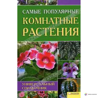 Хранение комнатных растений зимой - «Блог Флориум.юа» 2024