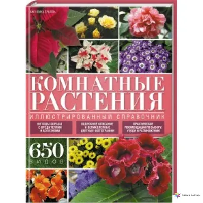 Комнатные растения. Иллюстрированный справочник, , Клуб Семейного Досуга  купить книгу 978-966-14-5797-2 – Лавка Бабуин, Киев, Украина