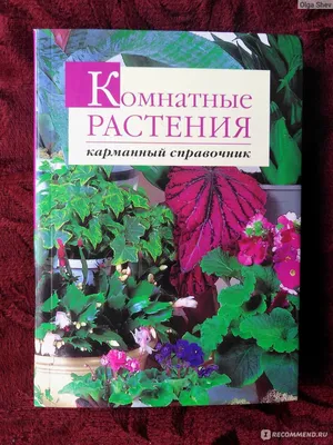 Книга фото-справочник Комнатные растения, Цветы: 100 грн. - Книги / журналы  Днепр на Olx