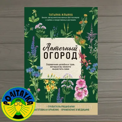 Большой иллюстрированный справочник лекарственных трав и растений. 600  рецептов и секретов потомственного травника», Игорь Гречаный – скачать pdf  на Литрес