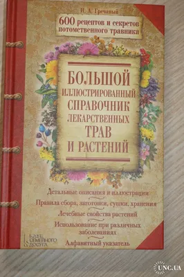 Иллюстрация 1 из 8 для Большой иллюстрированный справочник лекарственных  трав и растений - Игорь Гречаный | Лабиринт - книги. Источник: Лабиринт