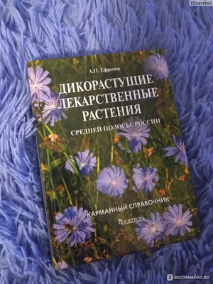 Иллюстрация 70 из 84 для Лечебные травы. Иллюстрированный справочник-определитель  - Татьяна Ильина | Лабиринт - книги. Источник: