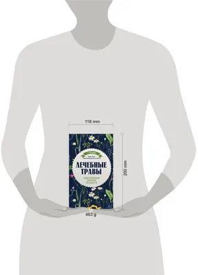 Лечебные травы. Иллюстрированный справочник-определитель. Татьяна Ильина  (978-5-699-98301-8) | AliExpress