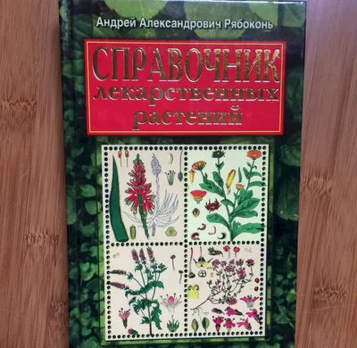 Колдовские травы» Джуди Энн Нок – самый лучший справочник о свойствах трав  и их применении в магии, из всех изданных за последнее время. | Будни  таролога | Дзен