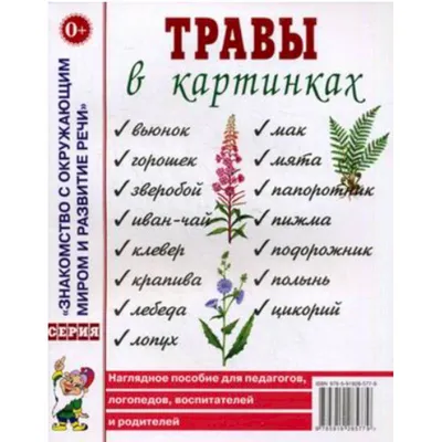  - Травы в картинках | 978-5-907008-54-0 | Купить русские  книги в интернет-магазине.