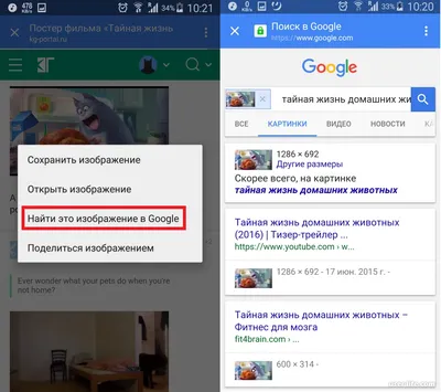 Поиск по картинке с телефона Андроид: ищем похожие картинки и название  того, что изображено