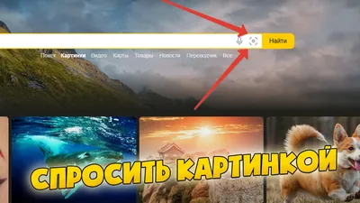 Как выполнить поиск по картинке с телефона – 5 простых способов