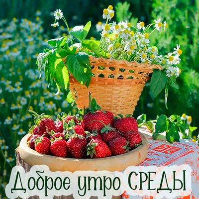 Прикольные открытки с пожеланиями Доброго утра среды (40 картинок) скачать