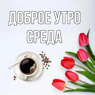 Видеооткрытка Среда! Доброе утро