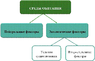 Определите способы движения и установите взаимосвязь между способами  движения со средой - Школьные Знания.com