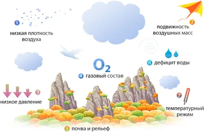 Среда обитания организмов и её факторы — урок. Биология, 11 класс.