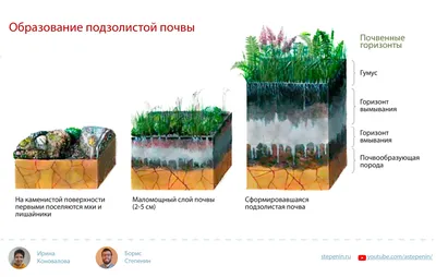 Среда обитания. Как архитектура влияет на наше поведение и самочувствие  Колин Эллард - купить книгу Среда обитания. Как архитектура влияет на наше  поведение и самочувствие в Минске — Издательство Альпина Паблишер на