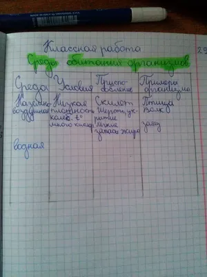 Напишите пожалуйста все среды обитания,все условия для каждой среды,все  приспособления и примеры - Школьные Знания.com