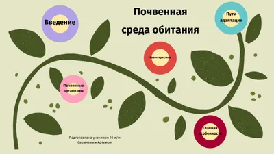 Дидактическая игра по экологии «Среда обитания» (3 фото). Воспитателям  детских садов, школьным учителям и педагогам - Маам.ру