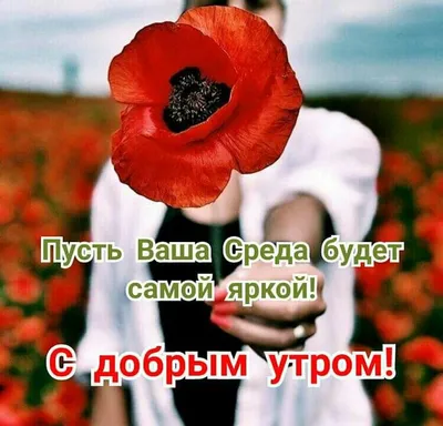 Чудесной среды! 💝 | Открытки, Доброе утро, Среда