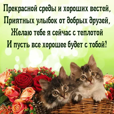 Чудесной среды! 💝 | Доброе утро, Открытки, Среда