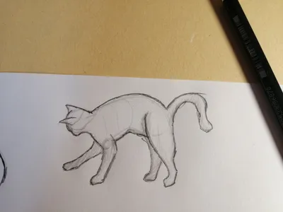 День второй, сегодня рисовала котиков | Пикабу
