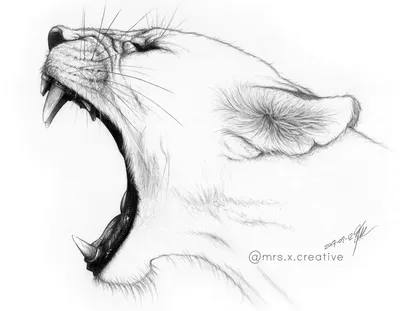 Животные для срисовки! Легкие рисунки животных | Рисовалка