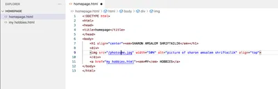 How to Link CSS to HTML – Stylesheet File Linking