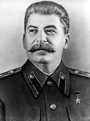 Сталина картинки